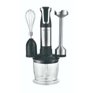 Royalty Line stick mixer kit.  800 W